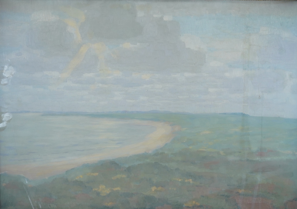 Early 20th century German School, oil on board, Seascape, indistinctly signed lower right, 46.5 x 66cm. Condition - poor to fair, surface dirt all over, losses to the frame